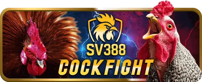 Giải thích Cookie và cách sunwim nhà cái sử dụng